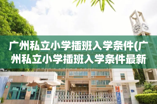 广州私立小学插班入学条件(广州私立小学插班入学条件最新)