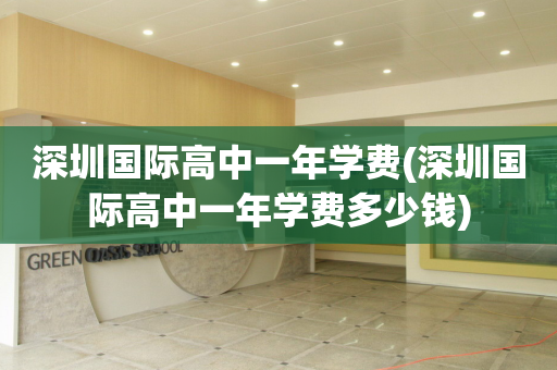 深圳国际高中一年学费(深圳国际高中一年学费多少钱)