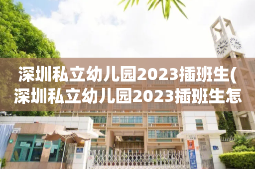 深圳私立幼儿园2023插班生(深圳私立幼儿园2023插班生怎么报名)