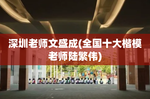 深圳老师文盛成(全国十大楷模老师陆繁伟)
