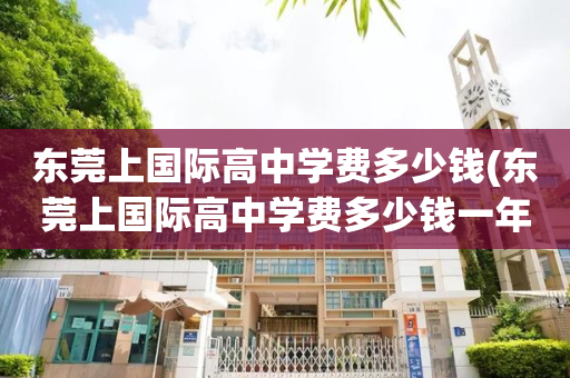 东莞上国际高中学费多少钱(东莞上国际高中学费多少钱一年)