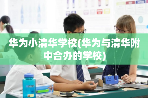 华为小清华学校(华为与清华附中合办的学校)