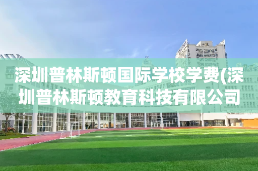 深圳普林斯顿国际学校学费(深圳普林斯顿教育科技有限公司怎么样)