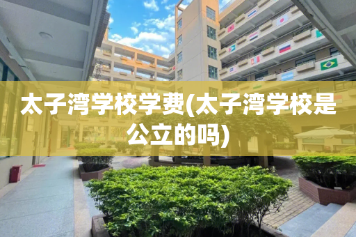 太子湾学校学费(太子湾学校是公立的吗)