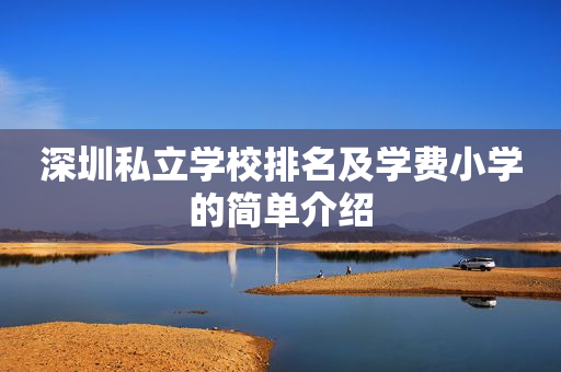 深圳私立学校排名及学费小学的简单介绍