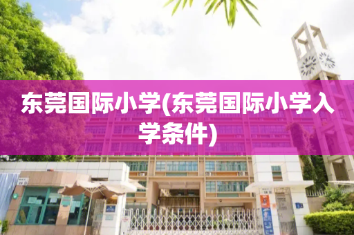 东莞国际小学(东莞国际小学入学条件)