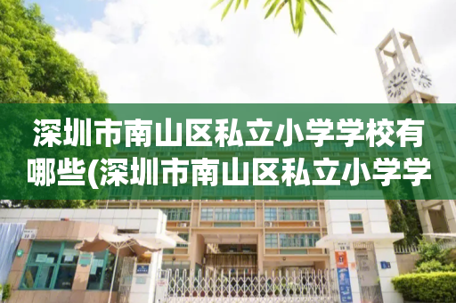 深圳市南山区私立小学学校有哪些(深圳市南山区私立小学学校有哪些名字)