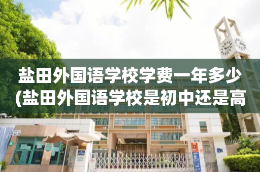 盐田外国语学校学费一年多少(盐田外国语学校是初中还是高中)