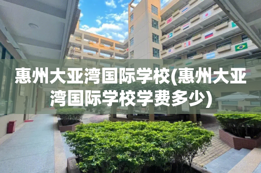 惠州大亚湾国际学校(惠州大亚湾国际学校学费多少)