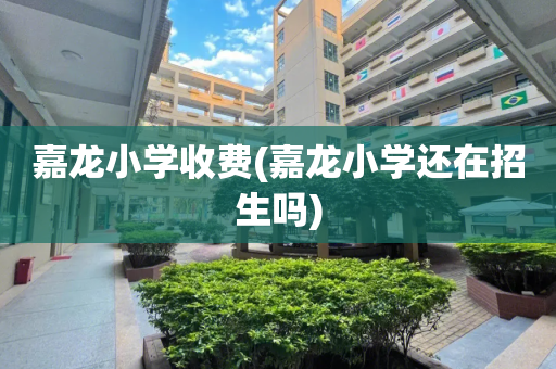 嘉龙小学收费(嘉龙小学还在招生吗)