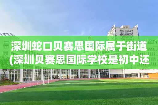 深圳蛇口贝赛思国际属于街道(深圳贝赛思国际学校是初中还是高中)