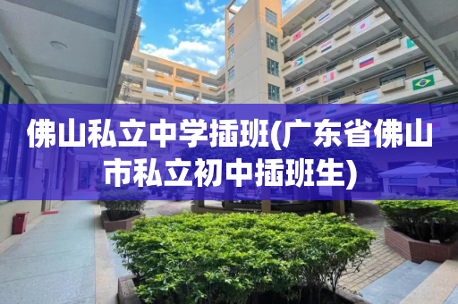 佛山私立中学插班(广东省佛山市私立初中插班生)