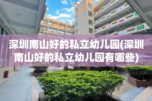 深圳南山好的私立幼儿园(深圳南山好的私立幼儿园有哪些)
