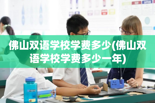 佛山双语学校学费多少(佛山双语学校学费多少一年)