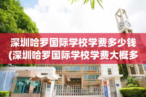 深圳哈罗国际学校学费多少钱(深圳哈罗国际学校学费大概多少)