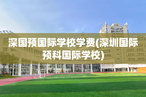 深国预国际学校学费(深圳国际预科国际学校)