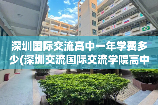 深圳国际交流高中一年学费多少(深圳交流国际交流学院高中读多少年)