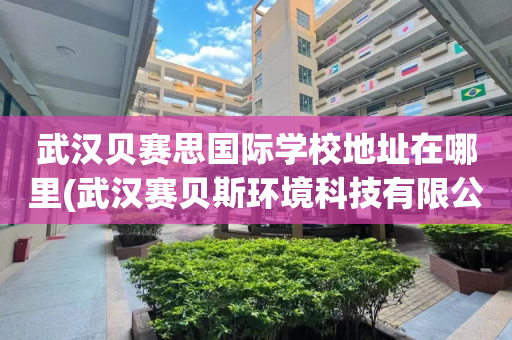 武汉贝赛思国际学校地址在哪里(武汉赛贝斯环境科技有限公司怎么样)