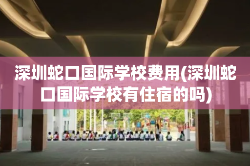 深圳蛇口国际学校费用(深圳蛇口国际学校有住宿的吗)