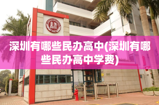 深圳有哪些民办高中(深圳有哪些民办高中学费)