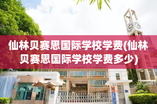 仙林贝赛思国际学校学费(仙林贝赛思国际学校学费多少)