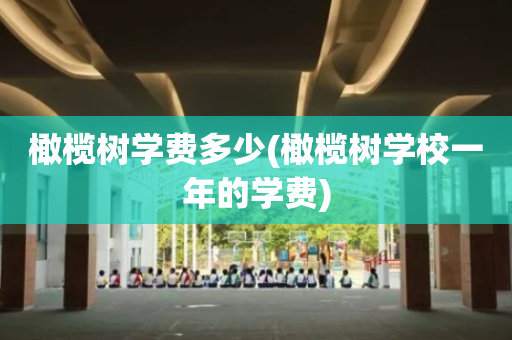 橄榄树学费多少(橄榄树学校一年的学费)