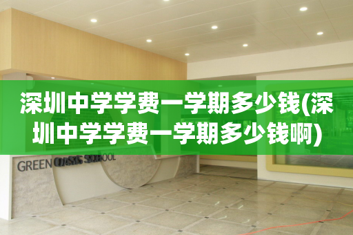 深圳中学学费一学期多少钱(深圳中学学费一学期多少钱啊)