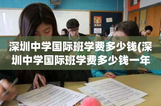 深圳中学国际班学费多少钱(深圳中学国际班学费多少钱一年)