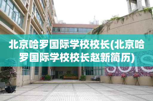 北京哈罗国际学校校长(北京哈罗国际学校校长赵新简历)
