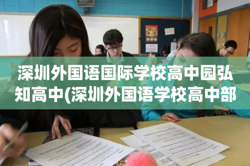 深圳外国语国际学校高中园弘知高中(深圳外国语学校高中部是公立还是私立学校)