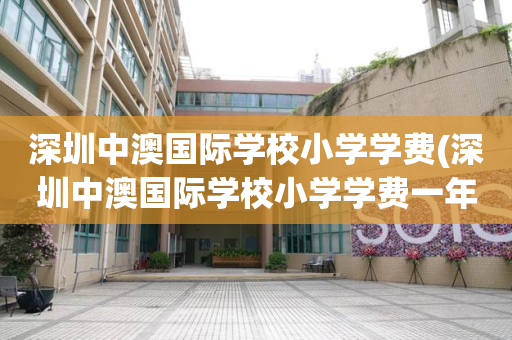 深圳中澳国际学校小学学费(深圳中澳国际学校小学学费一年多少)