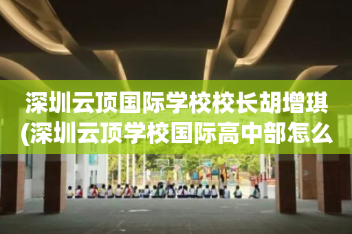 深圳云顶国际学校校长胡增琪(深圳云顶学校国际高中部怎么样)
