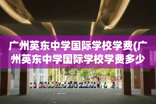 广州英东中学国际学校学费(广州英东中学国际学校学费多少)