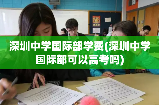 深圳中学国际部学费(深圳中学国际部可以高考吗)