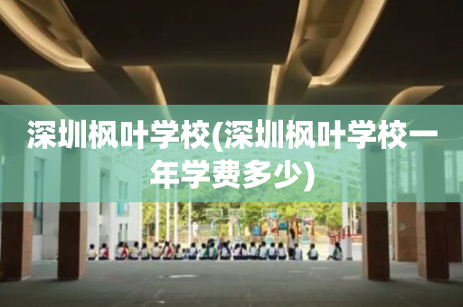 深圳枫叶学校(深圳枫叶学校一年学费多少)