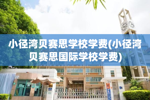 小径湾贝赛思学校学费(小径湾贝赛思国际学校学费)