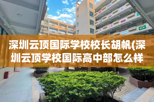 深圳云顶国际学校校长胡帆(深圳云顶学校国际高中部怎么样)