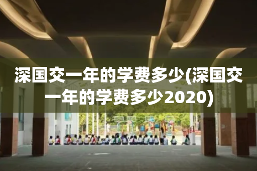 深国交一年的学费多少(深国交一年的学费多少2020)