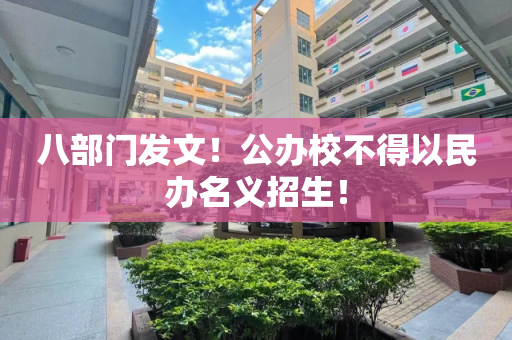 八部门发文！公办校不得以民办名义招生！